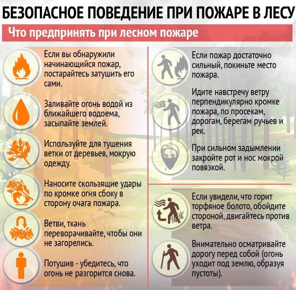 Лесные пожары.jpg