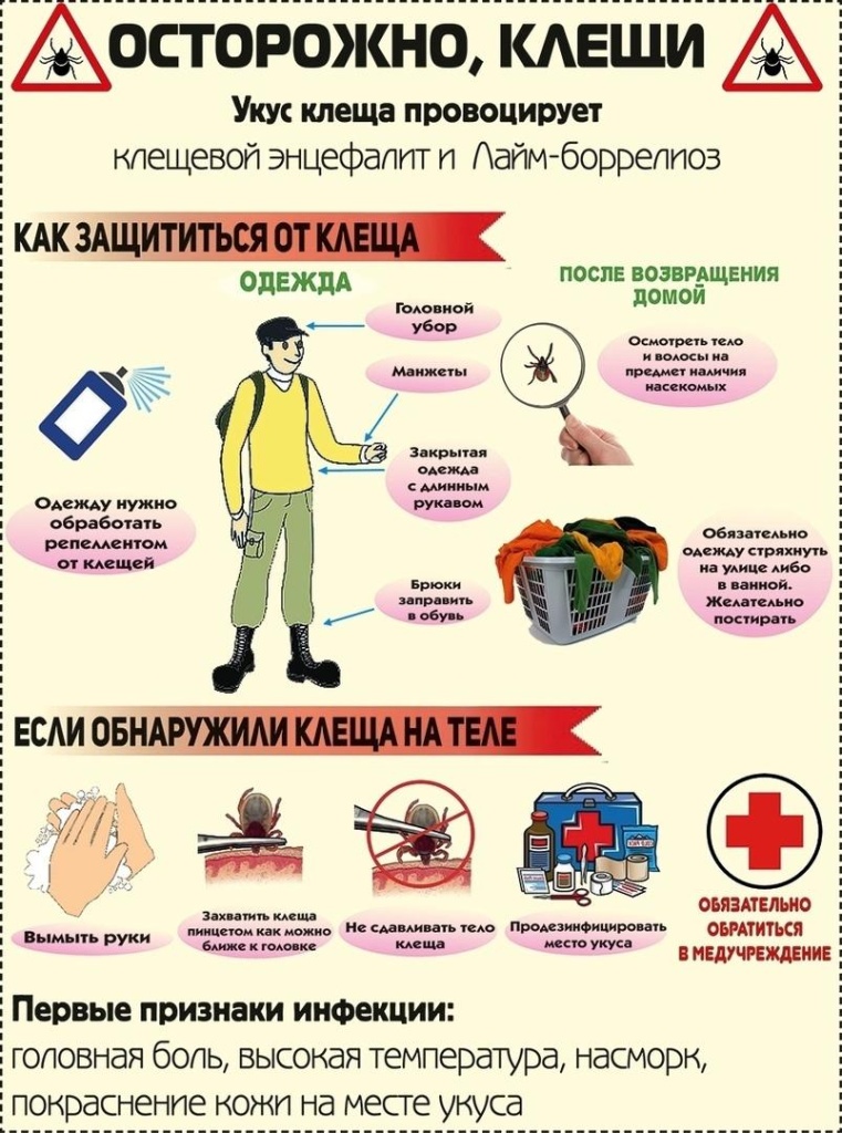 Клещи.jpg
